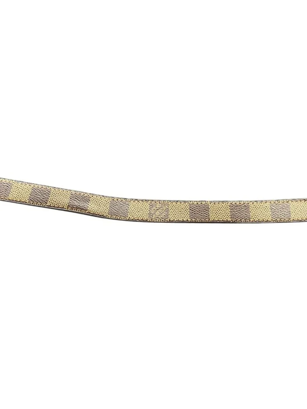 Louis Vuitton brand louis